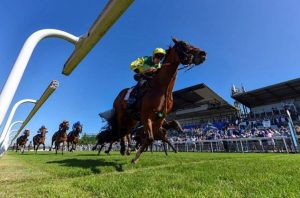 Coolree passes the post in front at Beverley racecourse in RTPS colours